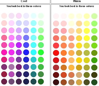 warm cool color chart