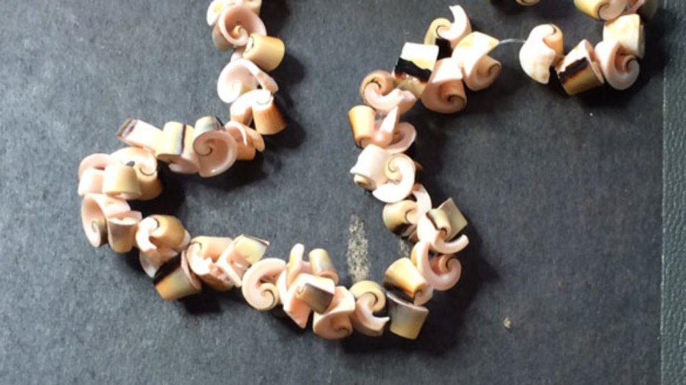 shells necklace